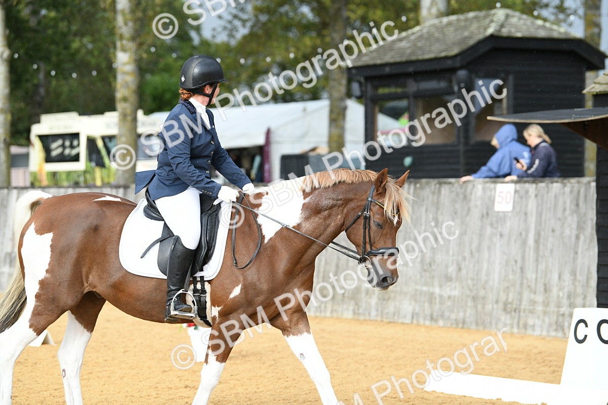 SBM_11097 - D28 Elementary Taster Elementary 42