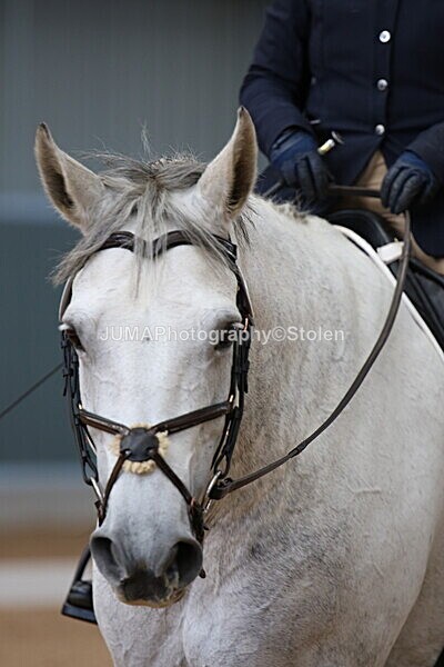 SIAL8579 - GDG Bogenraith Friday 26th Sept 2025