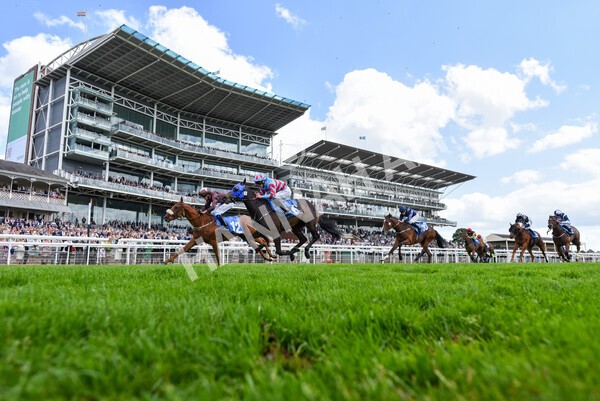 yr10062022r2-29 - Race 2 2.30pm SKF Rous Selling Stakes