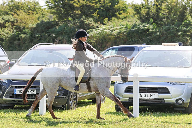 IMG_1943 - Class 33: Show Pony 148cm and under