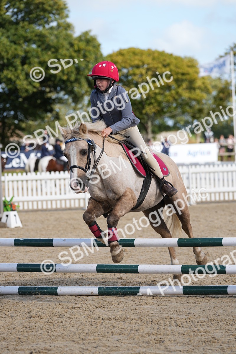 SBM_24904 - J50 - Open 60cm