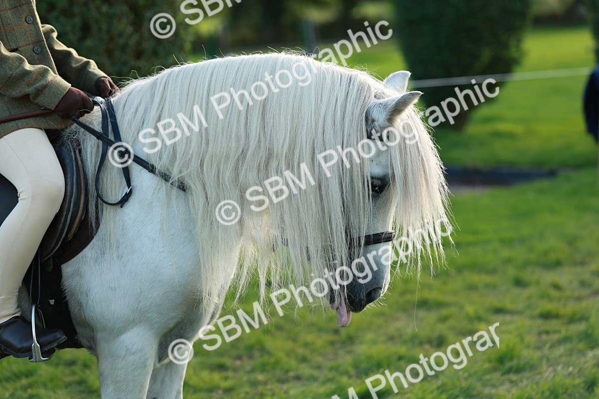 SBM_28789 - S7 - Novice & Newcomer Ridden Pony