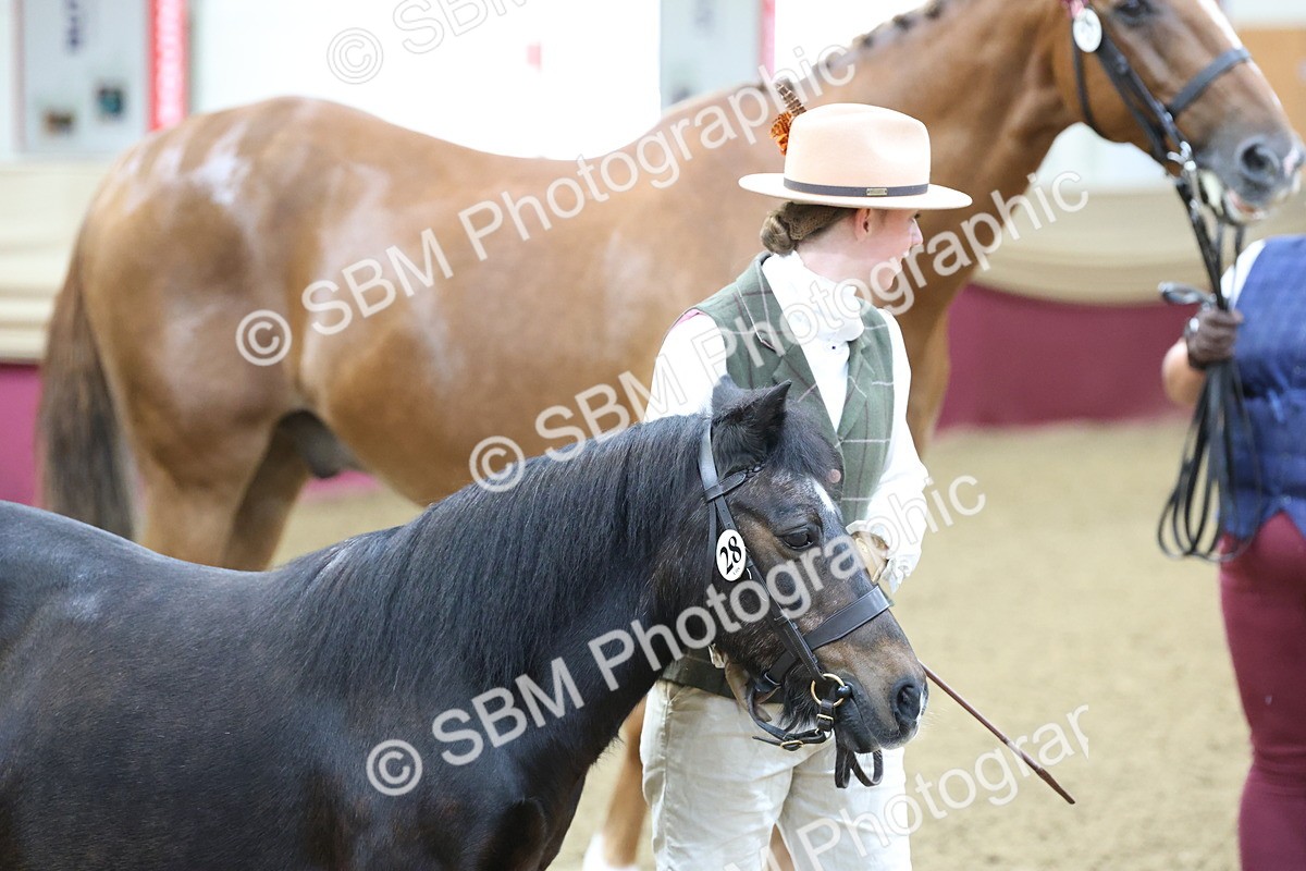 SBM_21867 - Class 901 - Supreme Final - IH  Diamond