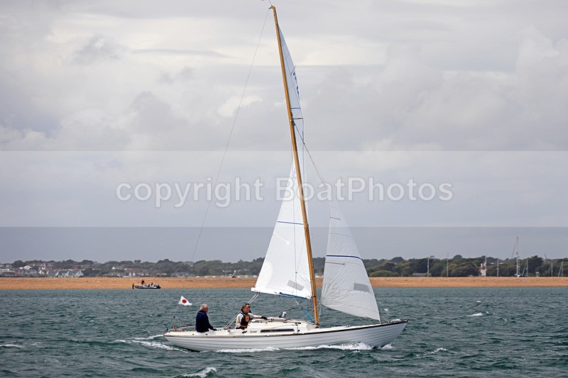 170604 OTTER GBR729 1Y3A3718 - Sailboats - monohull