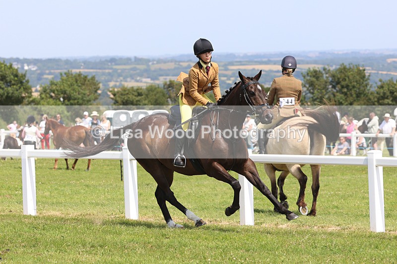 JPP_3374 - Class 22: Working Hunter 70cm