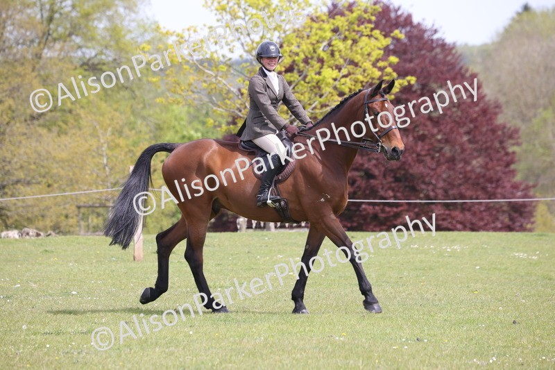 20260426-4288 - Class 34 - Best Riding Horse Over 14.2hh