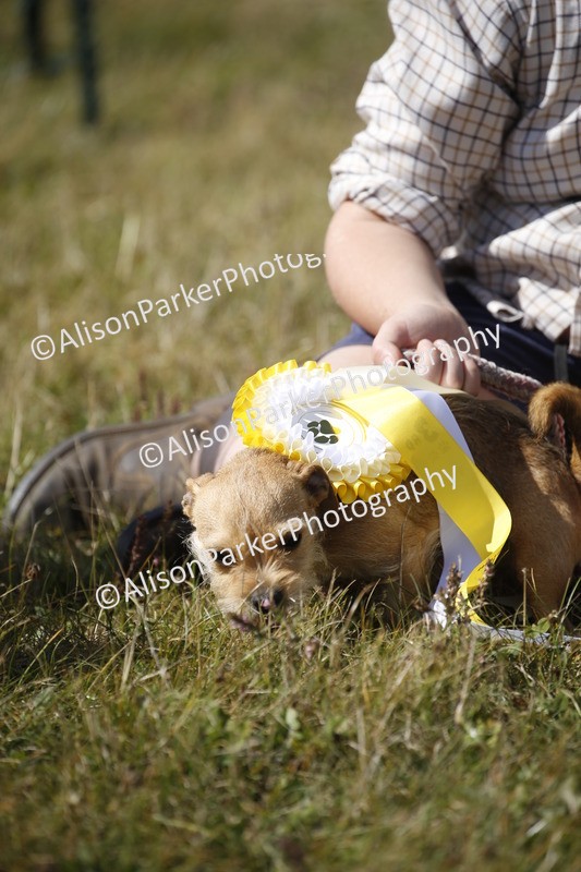 20250831-3711 - Dog Show