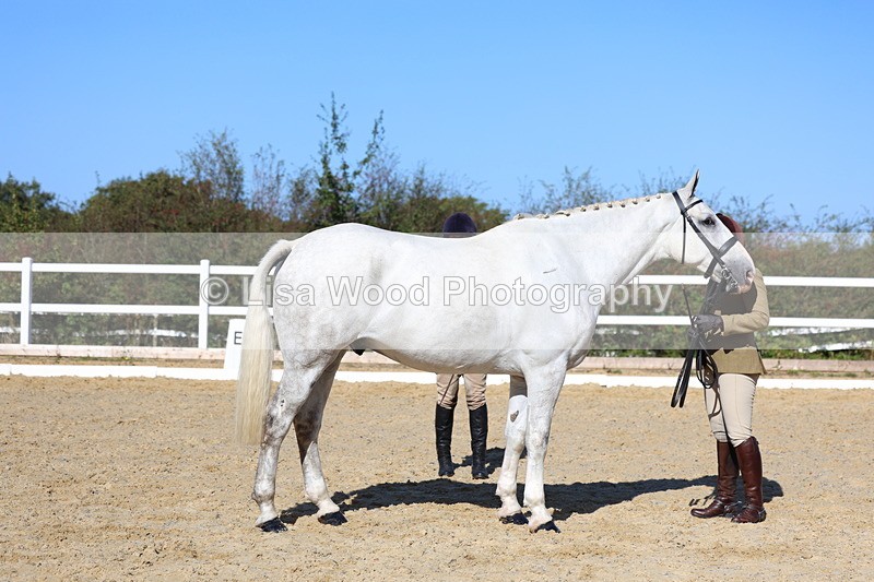 3E7A5567 - Class 9: Open Ridden Hunter
