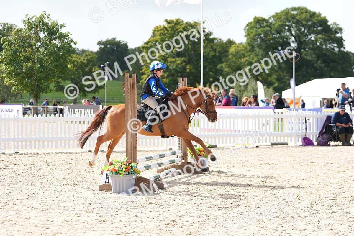 SBM_18044 - J58 - Clear Round 50cm