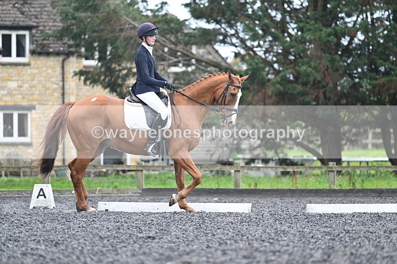 WJ7_6669 - Time 14:49 to 15:14