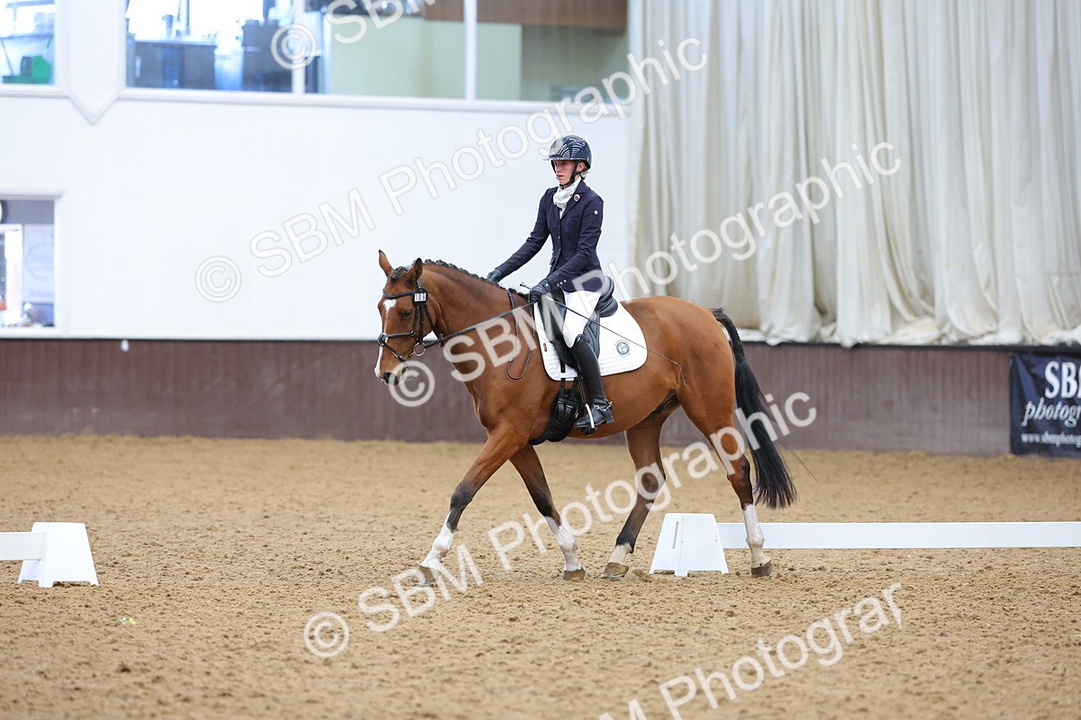 SBM_003048 - Novice