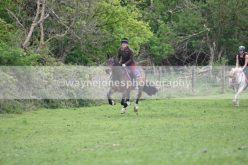 WJ6_3274 - A camera