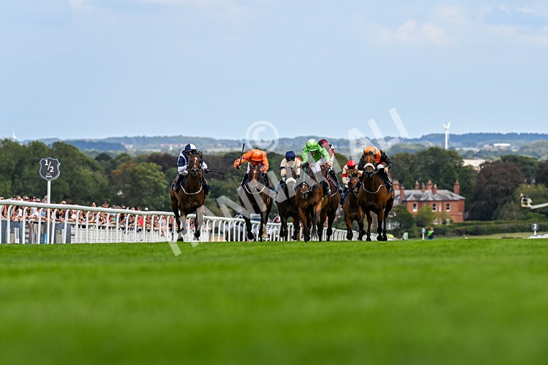 300826-Race 2-Jm Jungle-9494 - Race 2 2.15pm William Hill Beverley Bullet Sprint Stakes