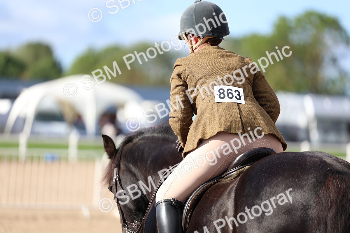 SBM_08949 - Class 302 - Ridden M&M - Large Breeds