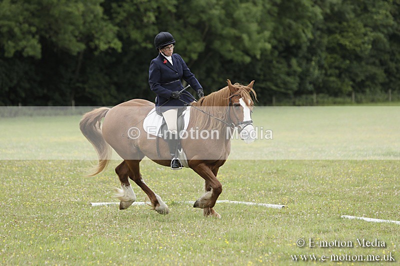 BVR160717-1233 - Class 2 Dressage 16/07/17