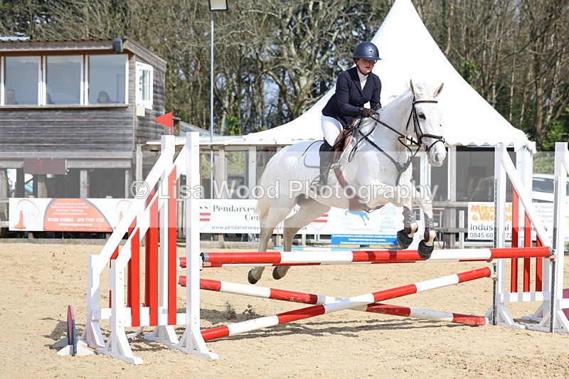 3E7A6624 - Class 4: Senior British Novice/90cm open