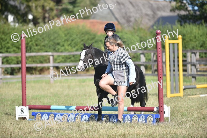 20260906-0982 - Class 7 - Absolute Novice Jumping 35cm