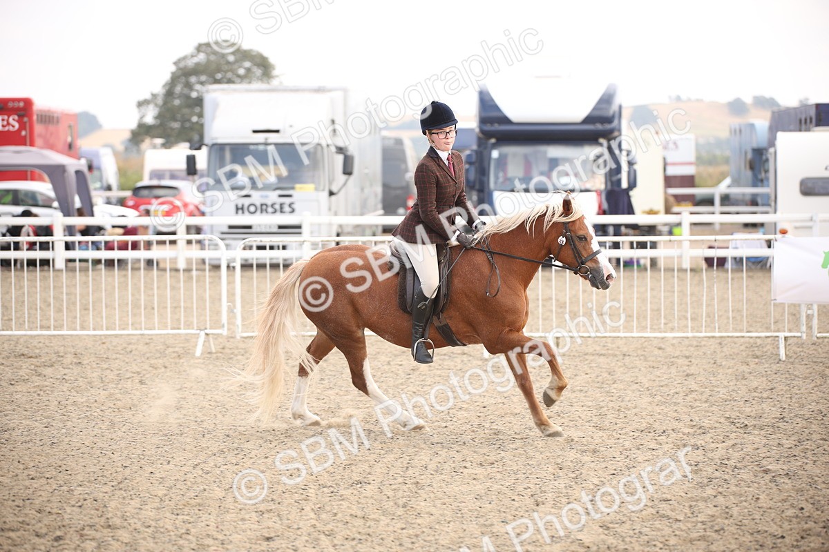 SBM_16027 - Class 408b - Working Veteran 70cm (20+)