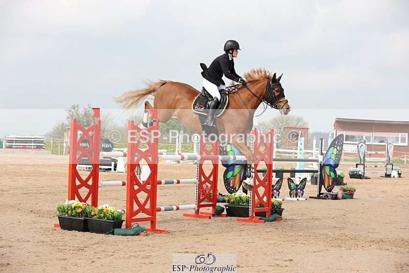 250424-110354-03366 - Cls 33 Young Horse 7yr old