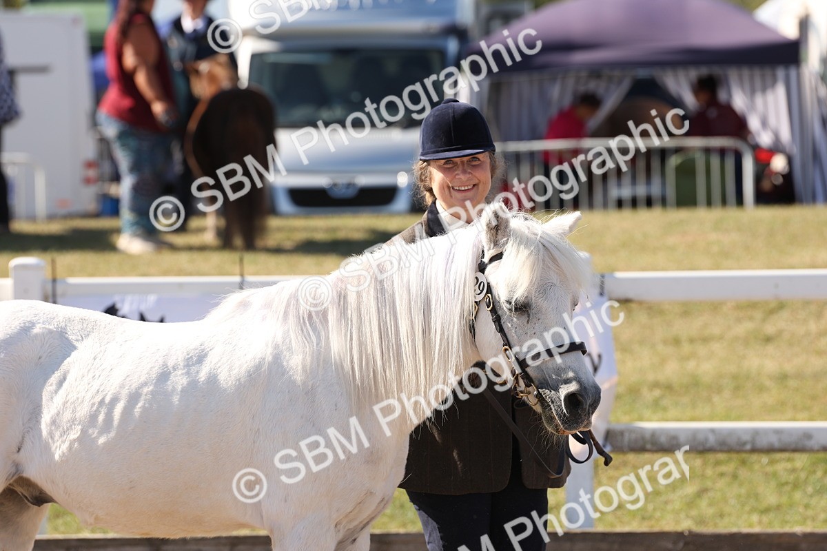 SBM_12941 - Class 206 - IH Non Show Type Pony
