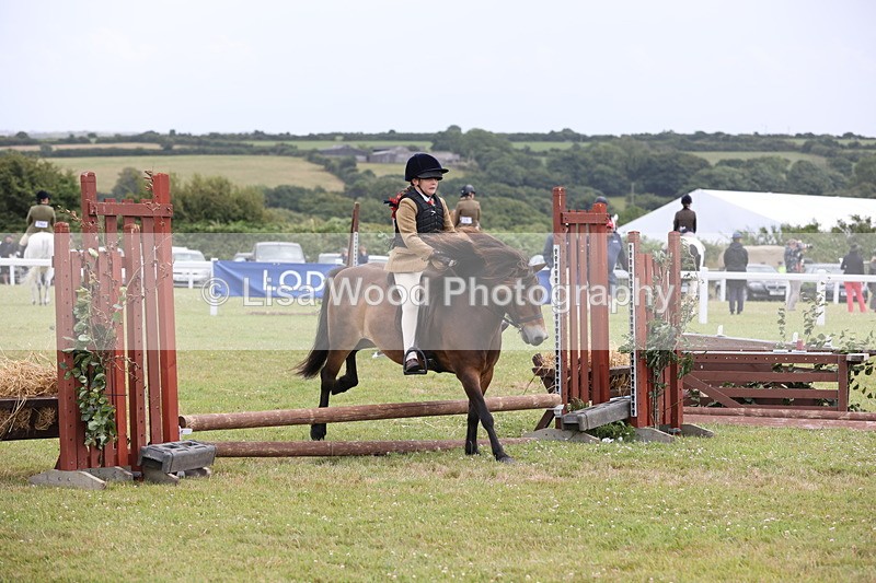 JPP_1778 - Class 18: Tiny Tots Working Hunter Pony