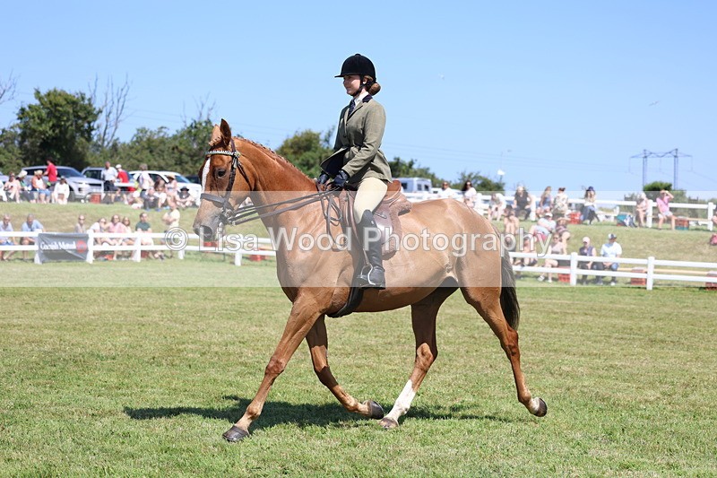 3E7A7834 - Class 7: Open Riding Horse