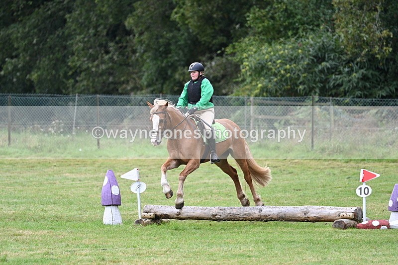 WJ7_7818 - 40cm Time 10:49 to 11:18