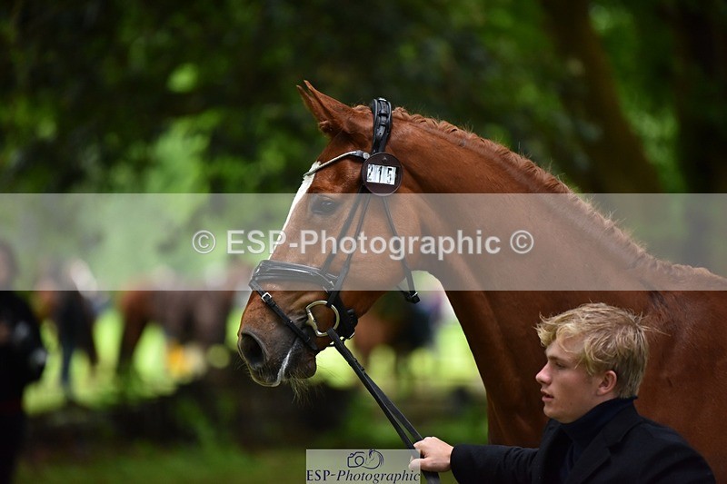 240522-163824-01053 - 215-RAMIRO_WANNABE-Finn_Healy