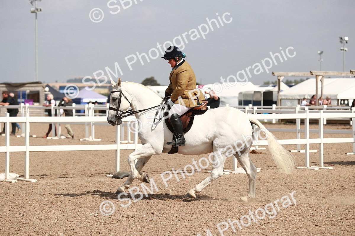 SBM_14858 - Class 212 Ridden Hunter - Small