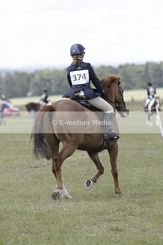 BVHT 140517 N-323 - Class 2 SJ Novice 14/05/17