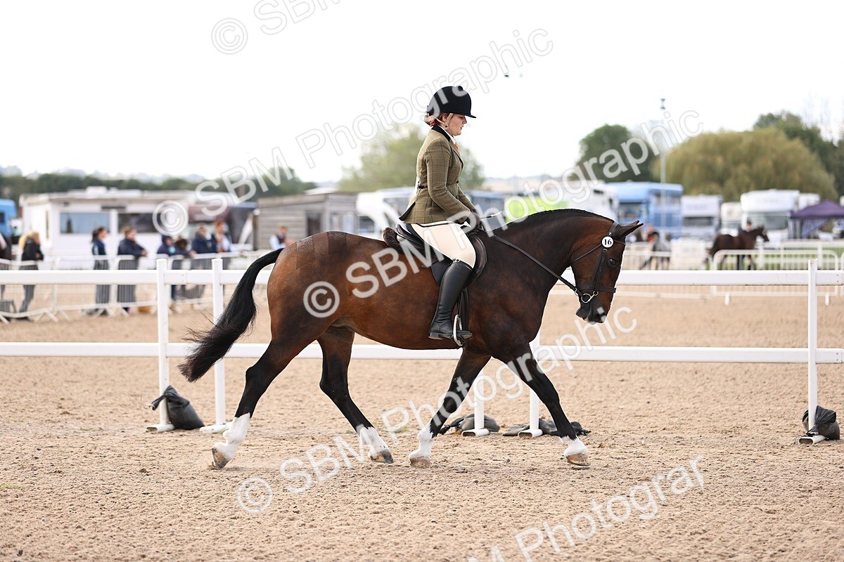 SBM_09003 - Class 403 - Grassroots Ridden - Junior