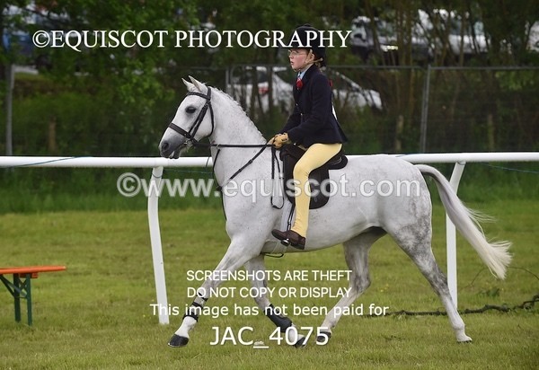 JAC_4075 - 40CM WORKING HUNTER