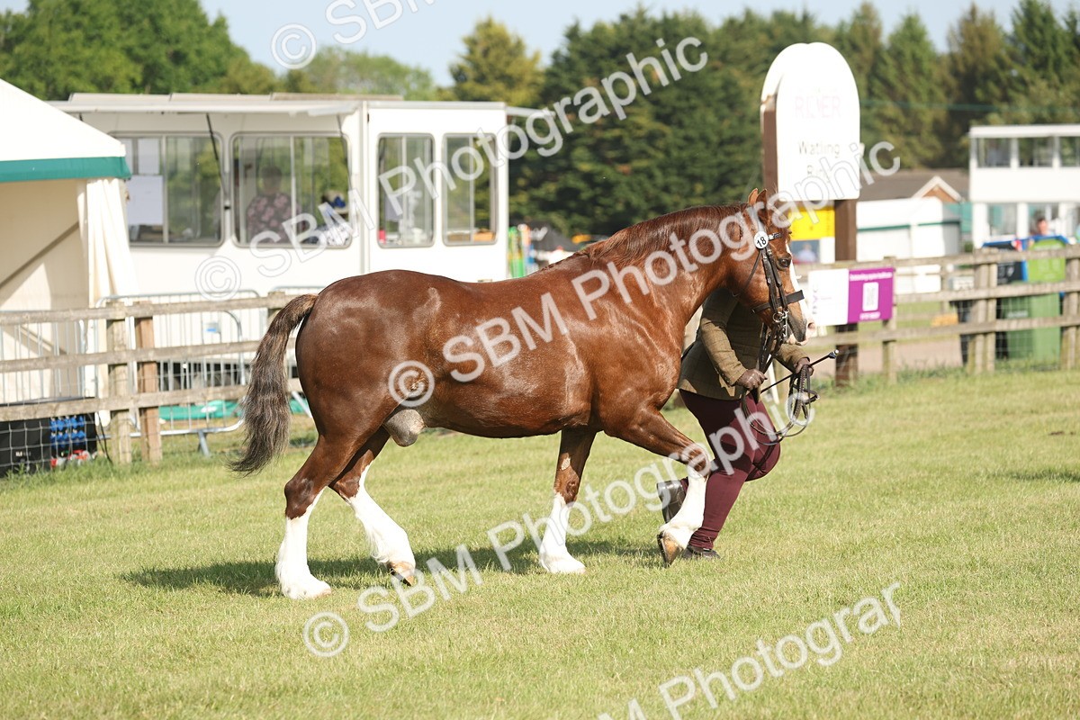 SBM_10301 - Class 33-38 - SSADL RIHS Qualifiers