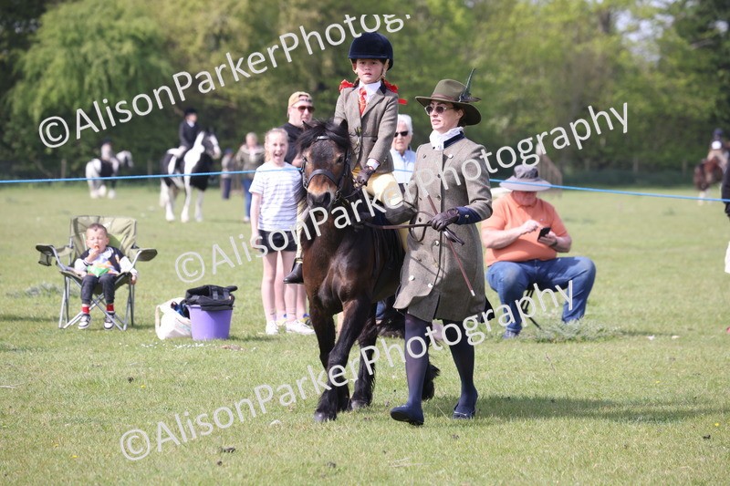 20260426-2464 - Class 31 - Leading Rein