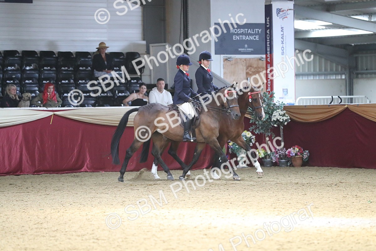 SBM_13642 - Class 109 Ridden Pairs - Section B