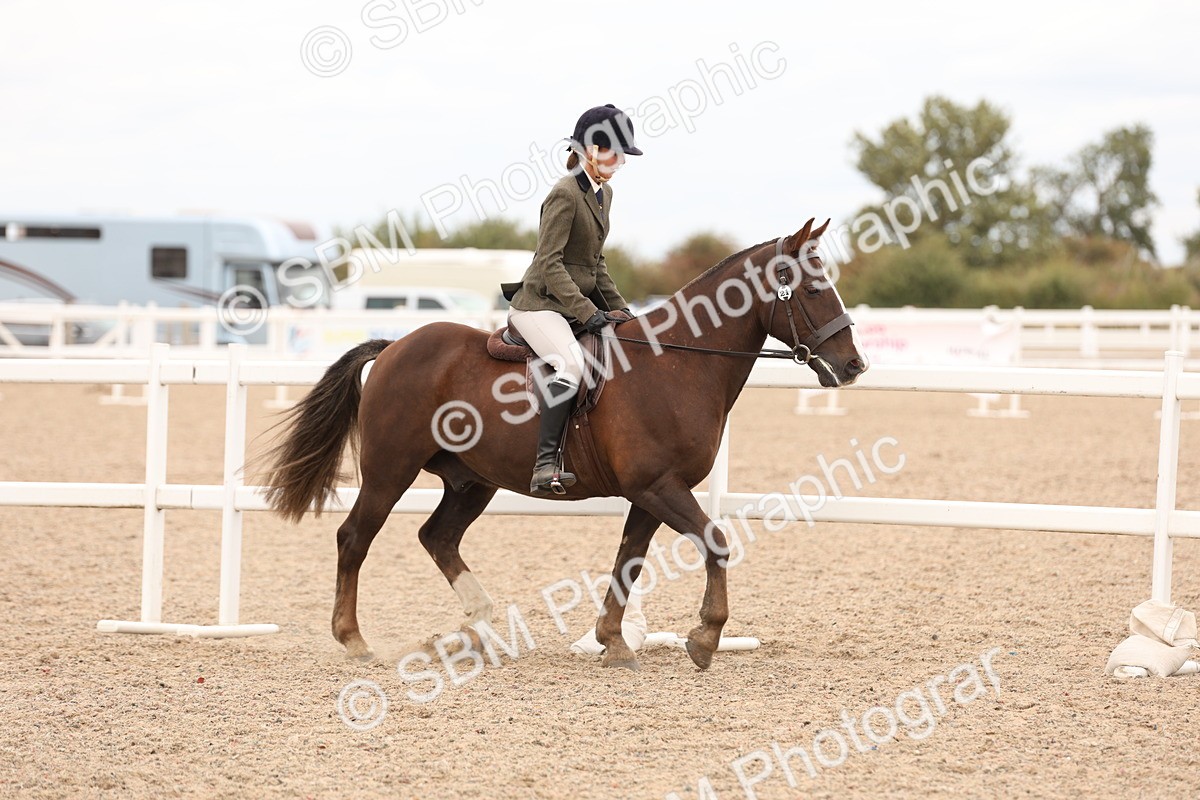 SBM_19525 - Class 215 - Ridden Show cob