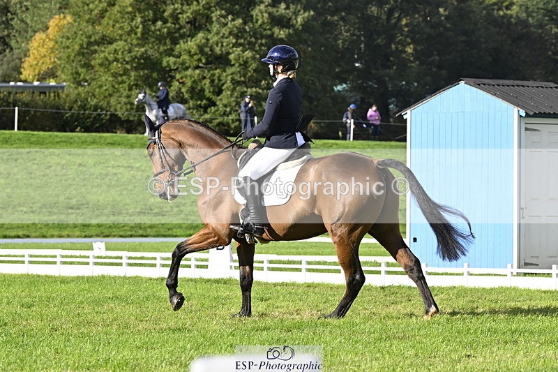 251023A-150935-04527 - E-386-Zara.Head