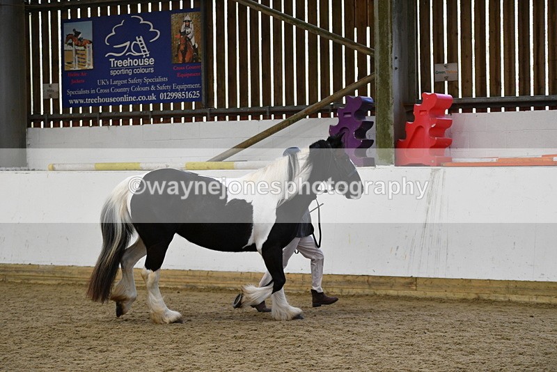 WJ5_5008 - Class 7 In hand coloured / odd coloured