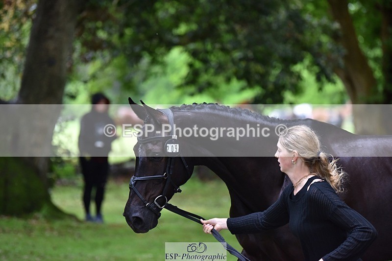 240522-163122-00973 - 209-COOLEY_DJANGO-Lottie_Royle