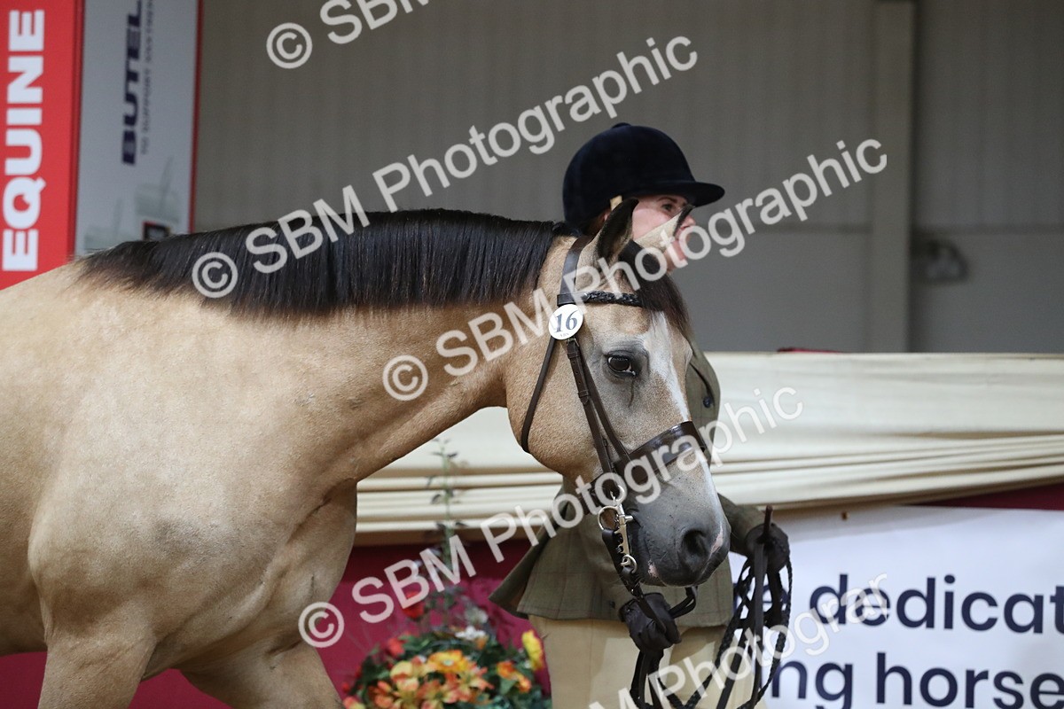 SBM_06210 - Class 9R Regional- IH Pre Vet