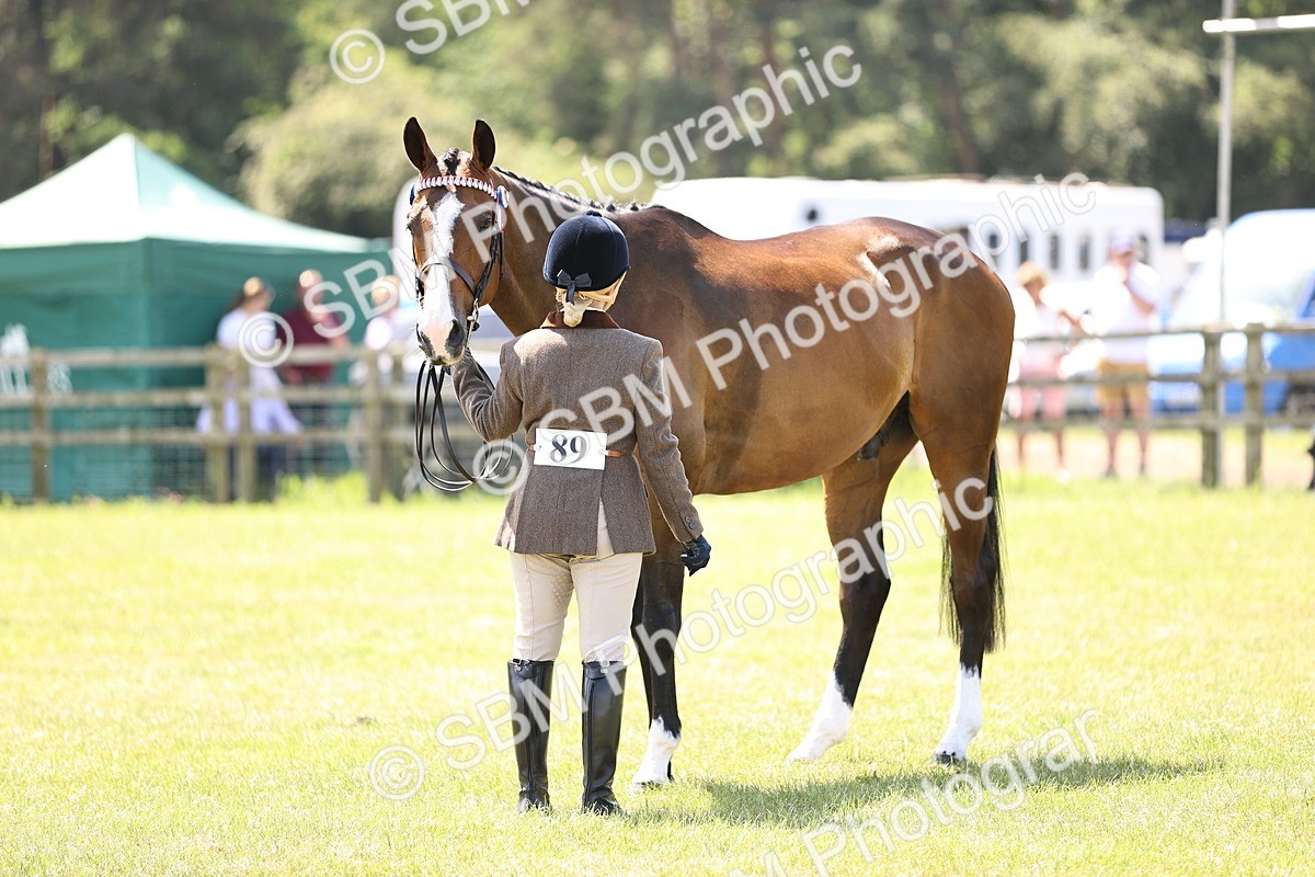 SBM_14965 - Class 78 - LIHS BSHA Open Racehorse & Show Horse
