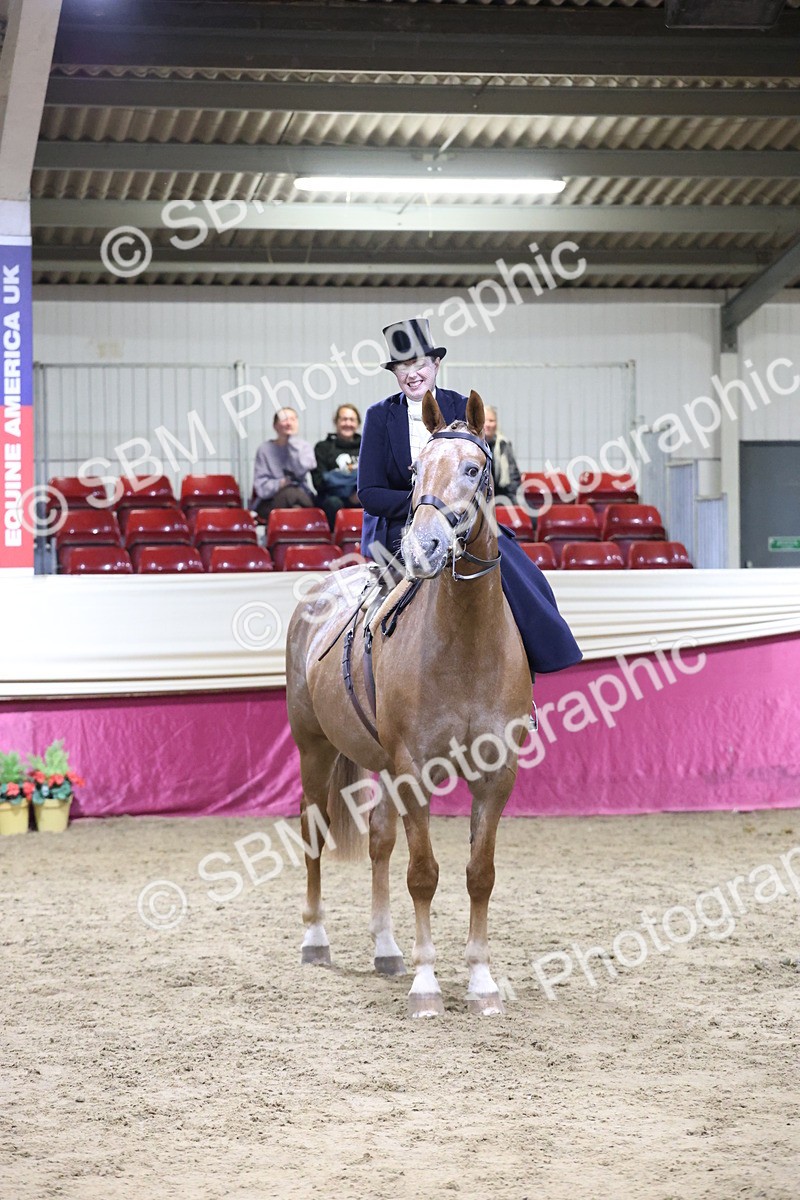 SBM_20978 - Class N - Side Saddle Champ