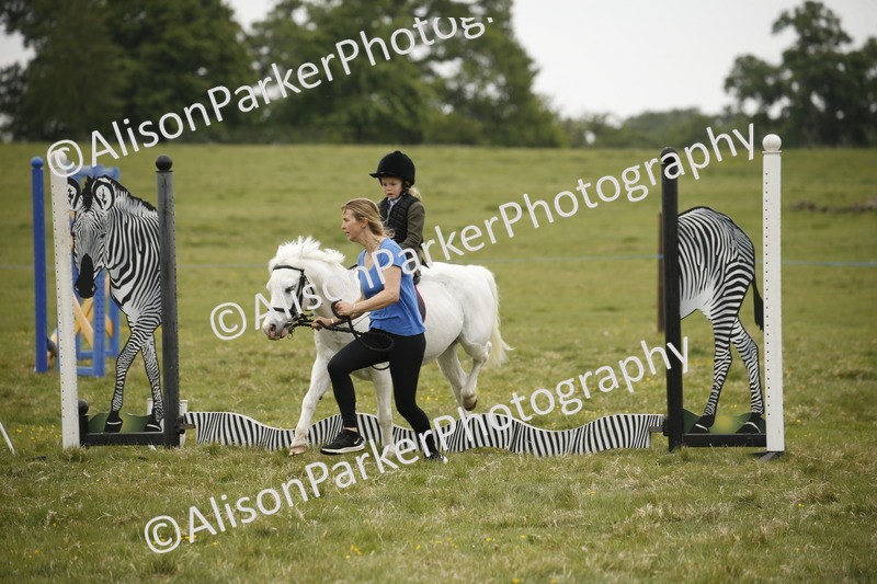 20250517-0157 - Class 1 - 30cm On Lead Rein