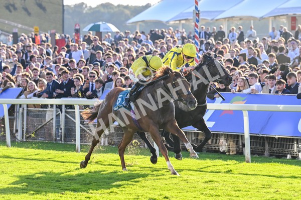 111025-Race 5-Morshdi-8907 - Race 5 Coral 'We're Here For It' EBF Maiden Stakes at York