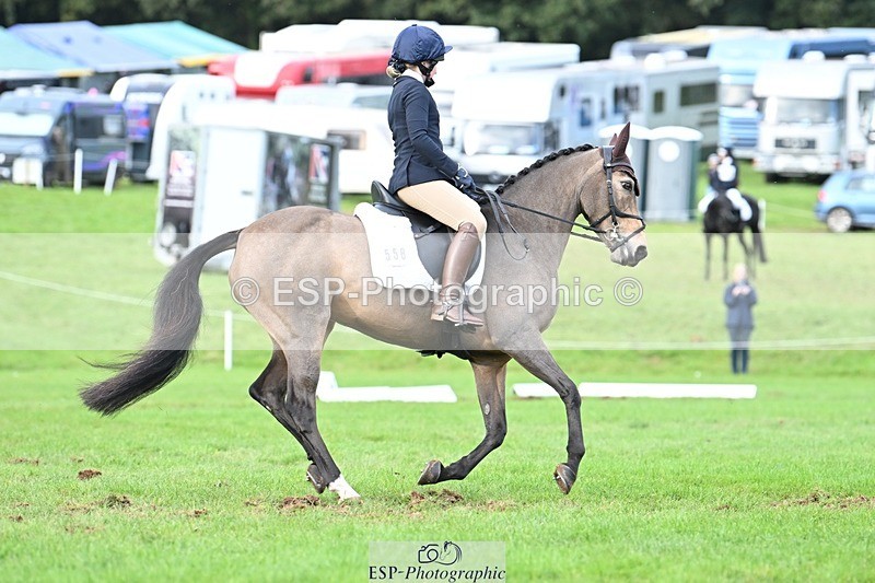 231020-161430-11638 - 558-BATHLEYHILLS.GOLDEN.SPRAY-Cleo.Whitbread-DR