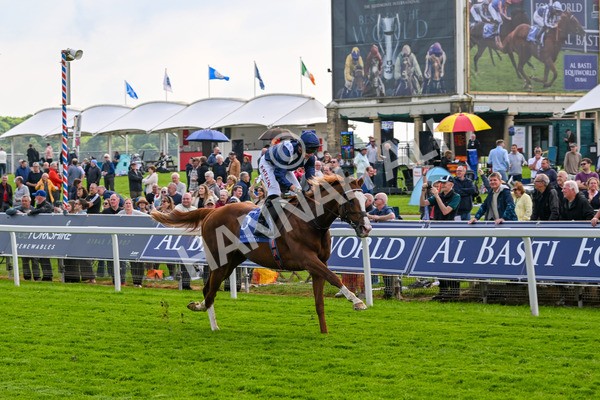 160524-Race 4-Economics-5981 - Race 4 3.45pm Al Basti Equiworld Dubai Dante Stakes