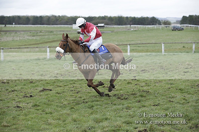 PtP 150320 0928 - New Forest Point-to-Point Larkhill 15/03/20