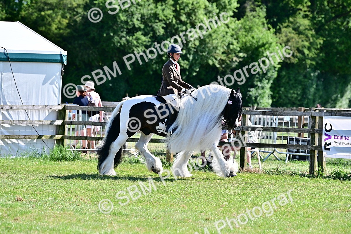 SBM_19379 - Class 101-102 - BSPS LIHS Performance Coloured Horse/Pony
