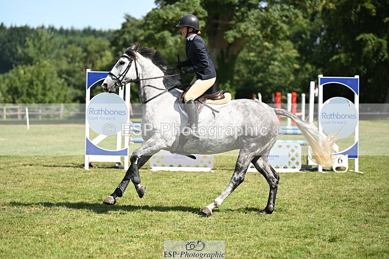 250704A-103021-06990 - Cls 25 Snr British Novice and 90cm