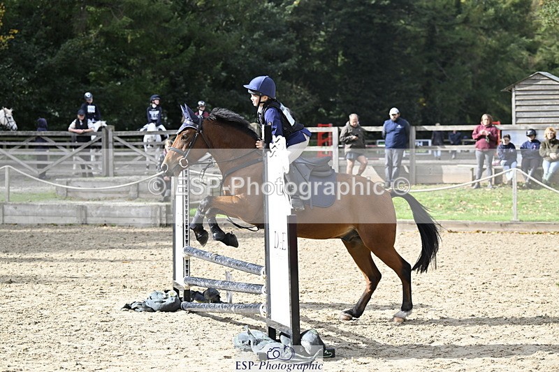 251005A-121131-03642 - Cls 08 Mini 70-75cm